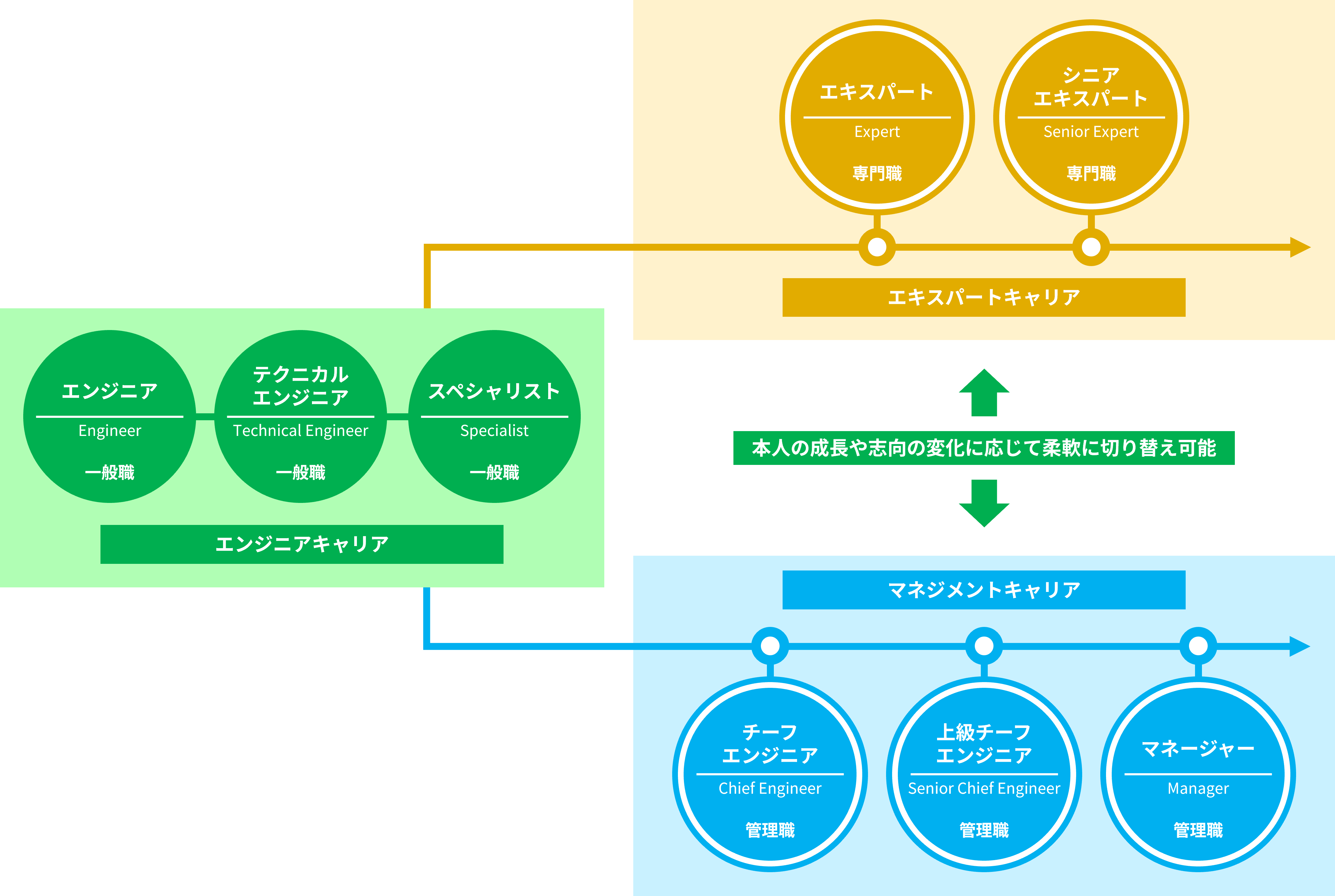 キャリアパス